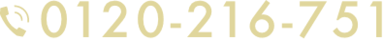 0120-216-751